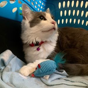 Meet your Posher, Brooke